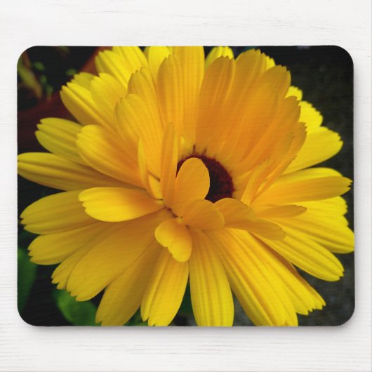 couchant Soleil! マウスパッド (正面)