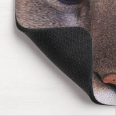 COUGARマウンテンライオンワイルドライフマウスパッド マウスパッド (コーナー)