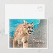 Cougar ポストカード (正面/裏面)