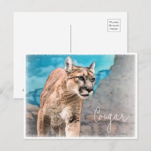 Cougar ポストカード (正面/裏面)