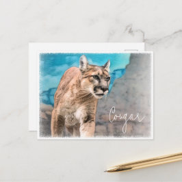 Cougar ポストカード