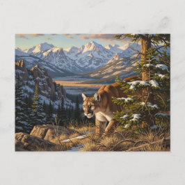 Cougar in Rocky Mountain National Park Travel ポストカード