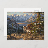 Cougar in Rocky Mountain National Park Travel ポストカード (正面/裏面)
