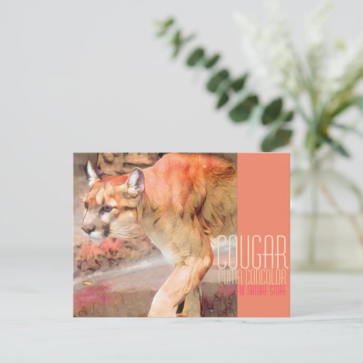 Cougar [Postcard] ポストカード (スタンド正面)