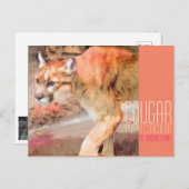 Cougar [Postcard] ポストカード (正面/裏面)