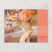 Cougar [Postcard] ポストカード (正面)