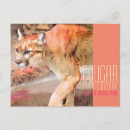 Cougar [Postcard] ポストカード