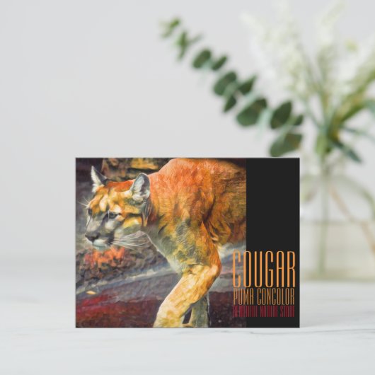 Cougar [Postcard] ポストカード (スタンド正面)
