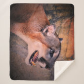 Cougar Profile  シェルパブランケット (正面)