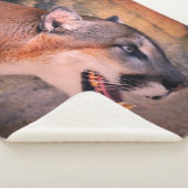 Cougar Profile  シェルパブランケット (3/4)