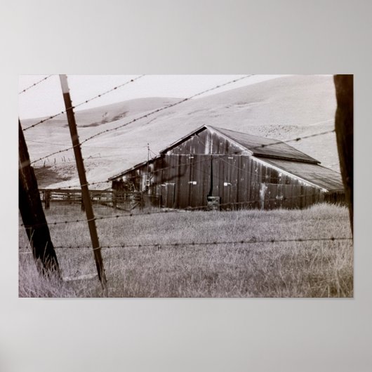 Country Collection – 新しいビュー ポスター (正面)