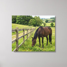 Country Meadow Horse キャンバスプリント