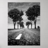 Country Road with Tree Lined Perspective ポスター (正面)