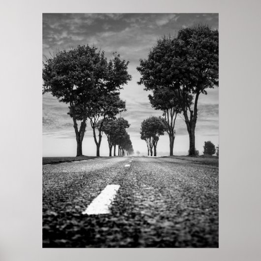 Country Road with Tree Lined Perspective ポスター (正面)