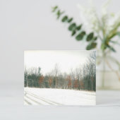 Country Roadsはがき ポストカード (スタンド正面)