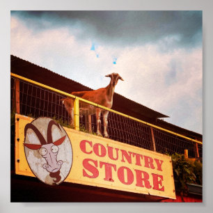 country store goat on the roof ポスター