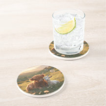 Countryside Companions