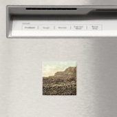 County Antrim、ジャイアントズコーズウェイ マグネット (インサイチュ (食洗機))