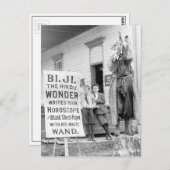 County Fair, 1910の占い師 ポストカード (正面/裏面)