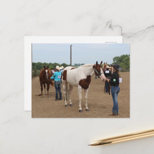 County Fair Showmanship Paints and Quarter Horses ポストカード (正面/裏面インサイチュ)