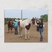 County Fair Showmanship Paints and Quarter Horses ポストカード (正面)