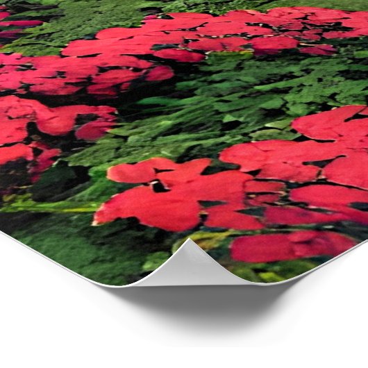 Couple in The Park-56476 ポスター (角)