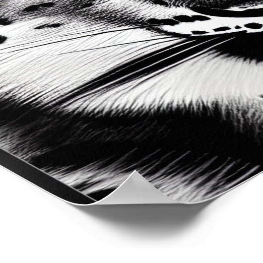 Courage Snow leopard with blue eye ポスター (角)