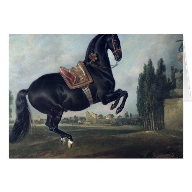 Courbetteを行っている黒い馬 (正面横)