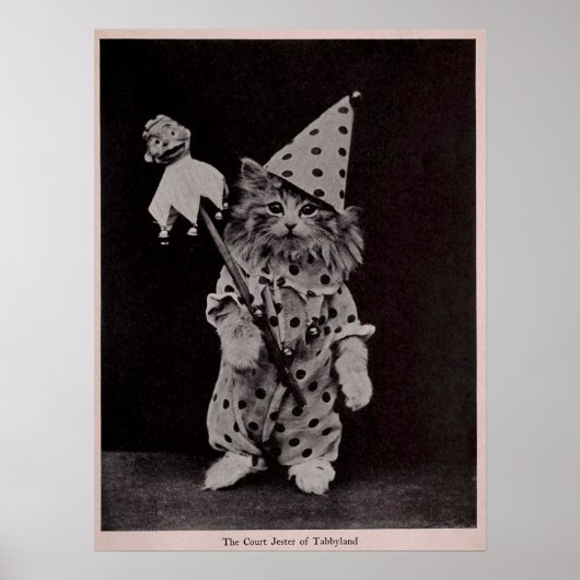 Court Jester of Tabblyland Catヴィンテージ写真 ポスター (正面)