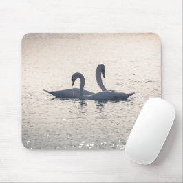 Courting Swans自然写真 マウスパッド