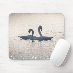 Courting Swans自然写真 マウスパッド