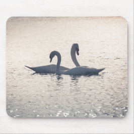 Courting Swans自然写真 マウスパッド