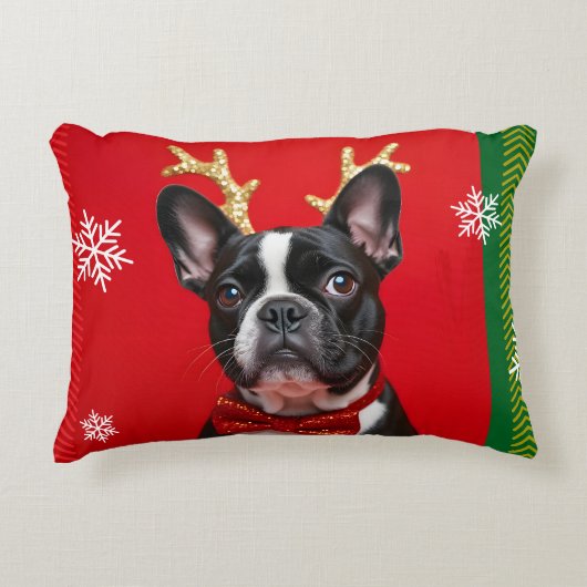 Coussin BOULEDOGUE DE NOEL アクセントクッション (正面)