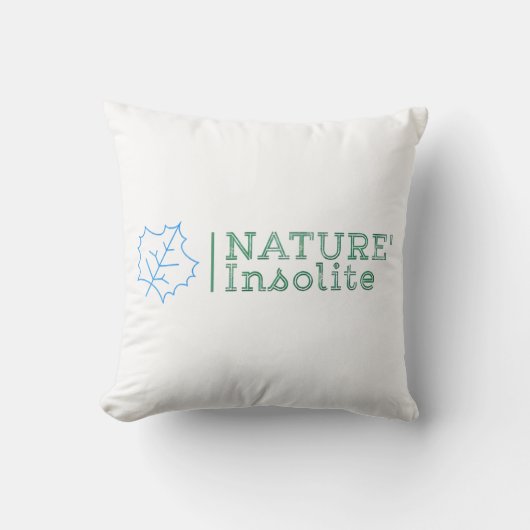 Coussin décoratif クッション (正面)