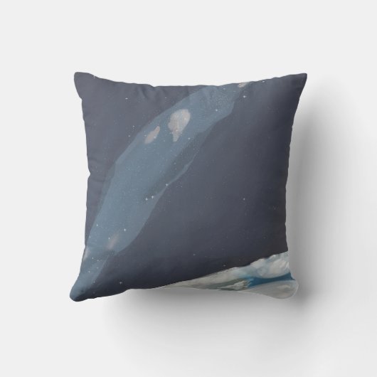 Coussin décoratif - Earth design クッション (裏面)