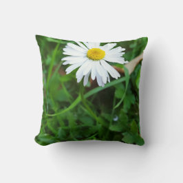 Coussin décoratif, marguerite, fleur  クッション