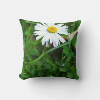 Coussin décoratif, marguerite, fleur  クッション