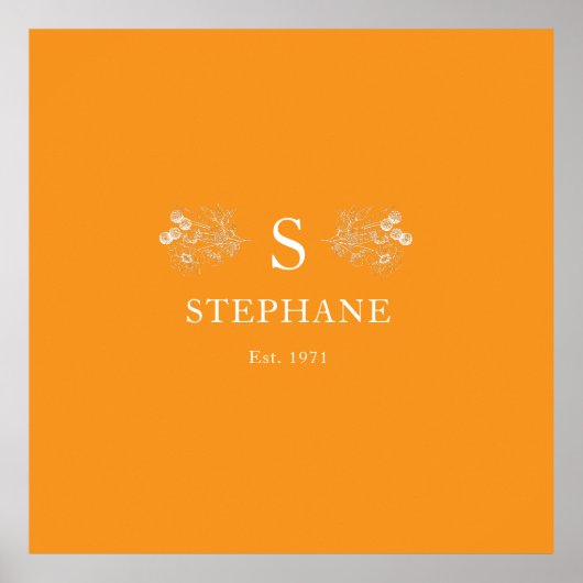 Coussin Elégance Moderne ポスター (正面)