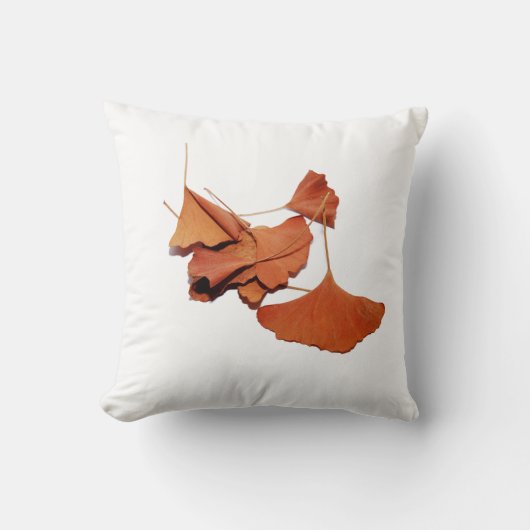 Coussin Gingko クッション (正面)
