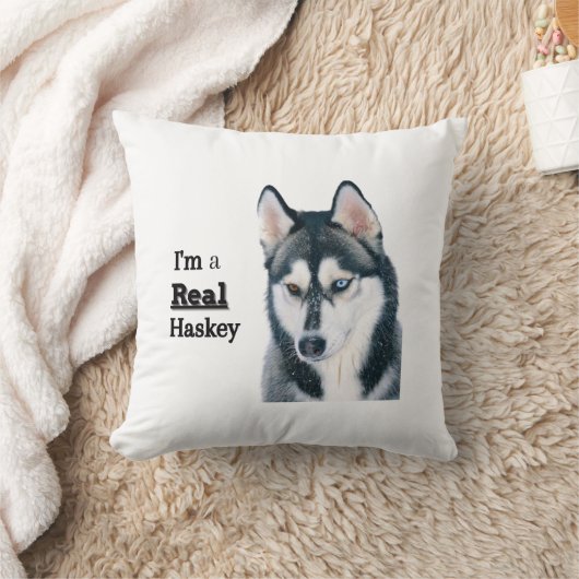 coussin hasky  クッション (ブランケット)