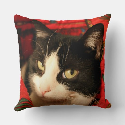 Coussin Miss Elsa by Chat'ventures クッション (裏面)