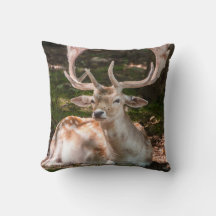Coussin photo cerf sous les bois