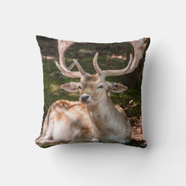 Coussin photo cerf sous les bois クッション