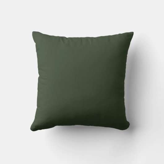 Coussin photo d'aigle クッション (裏面)