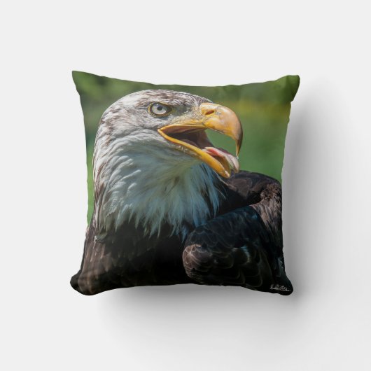 Coussin photo d'aigle クッション (正面)