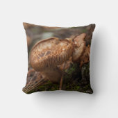 Coussin, photo de champignons クッション (正面)