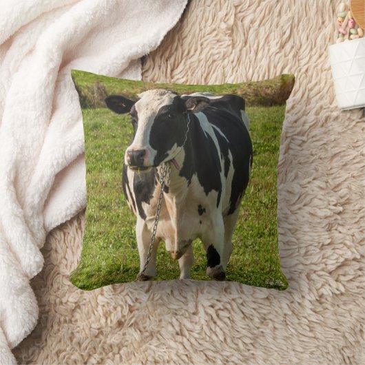 Coussin photo de vache クッション (ブランケット)