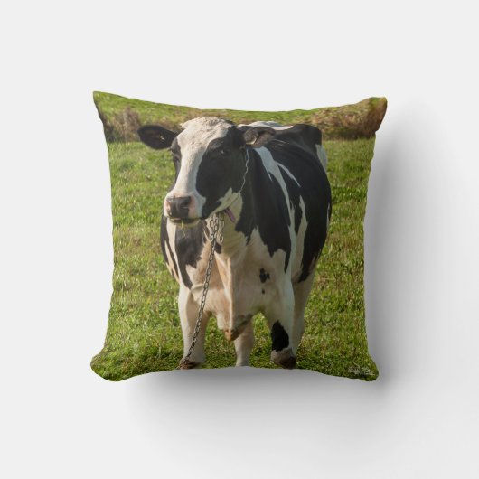 Coussin photo de vache クッション (正面)