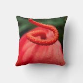 Coussin photo une fleur rouge. クッション (裏面)