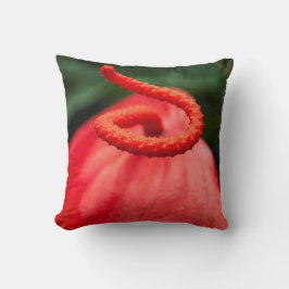 Coussin photo une fleur rouge. クッション
